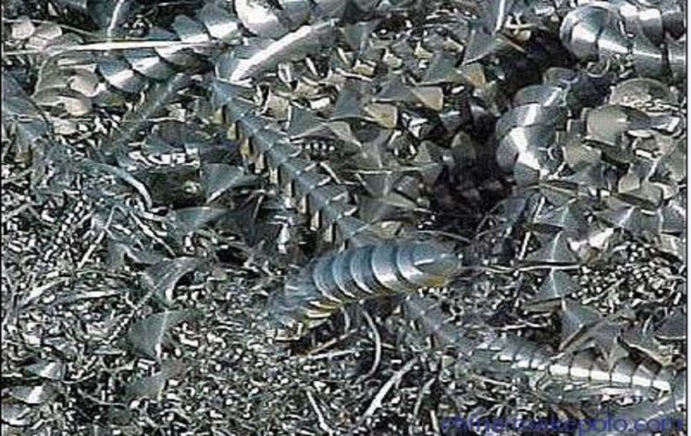 Fluctuations in Magnesium Alloy Prices